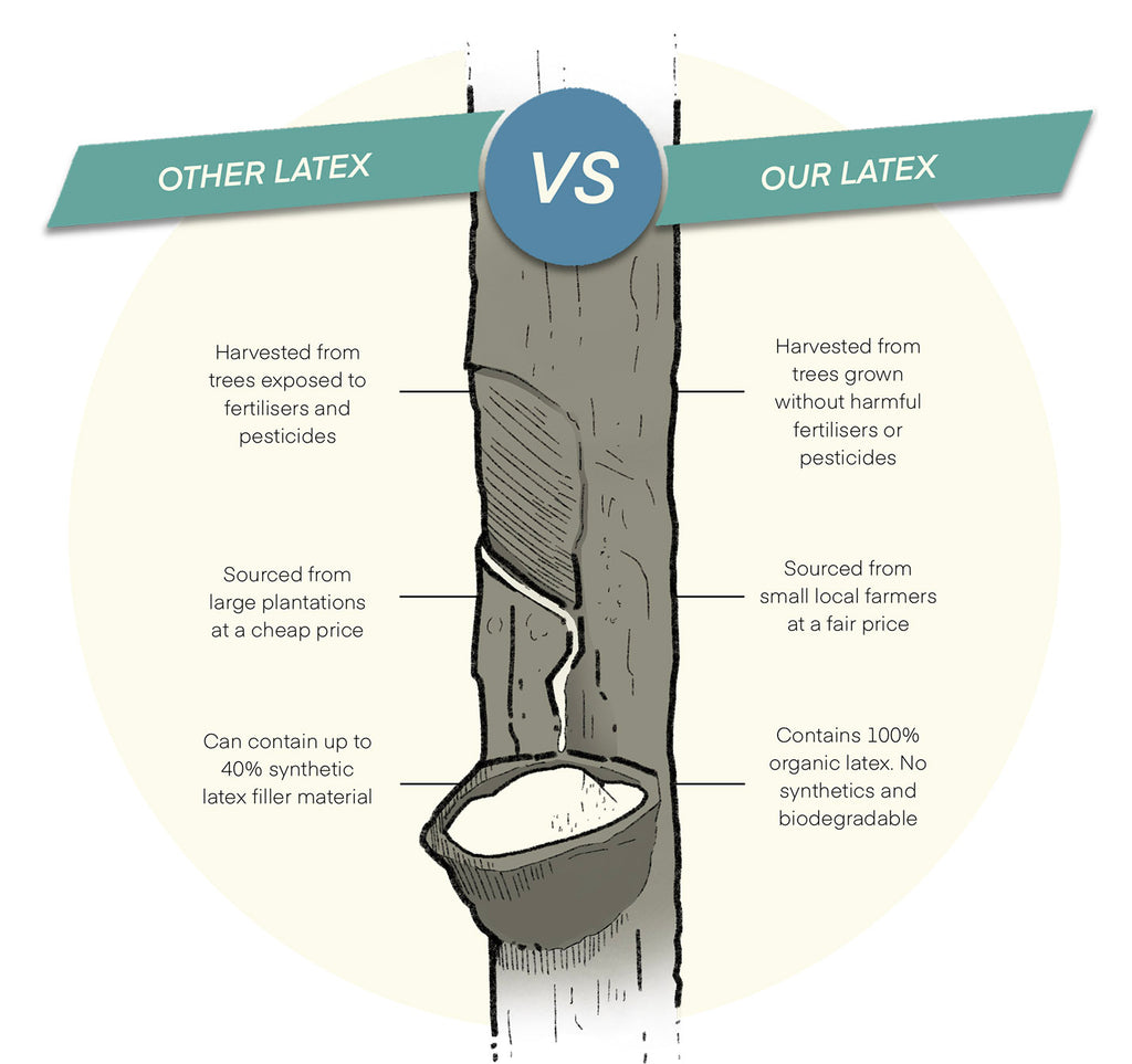 Diagram of difference between organic latex and natural latex